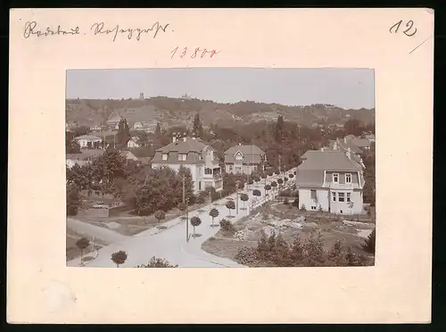 Fotografie Brück & Sohn Meissen, Ansicht Radebeul, Roseggerstrasse mit Villen und Landhäusern