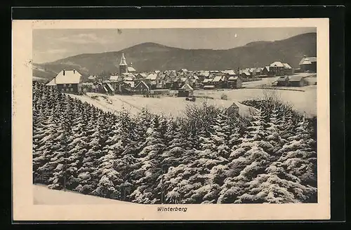 AK Winterberg, Winterpanorama