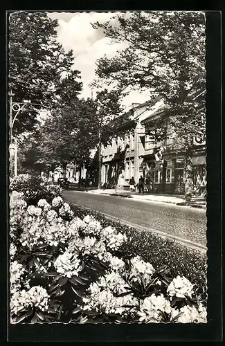 AK Haan, Blumen an der Kaiserstrasse