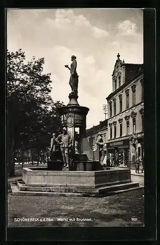AK Schönebeck a. d. Elbe, Markt mit Brunnen