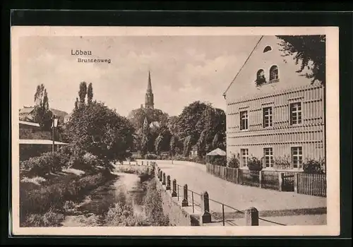 AK Löbau i. Sa., Brunnenweg mit Uferpartie