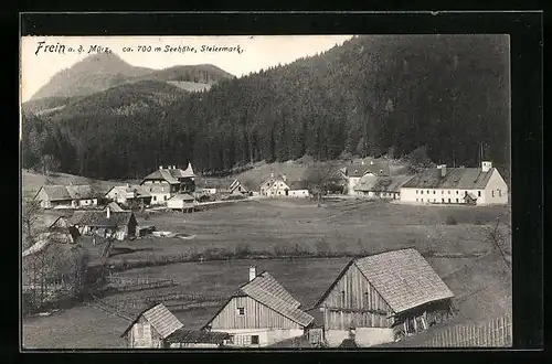 AK Frein a. d. Mürz, Ortsansicht mit Bergpanorama