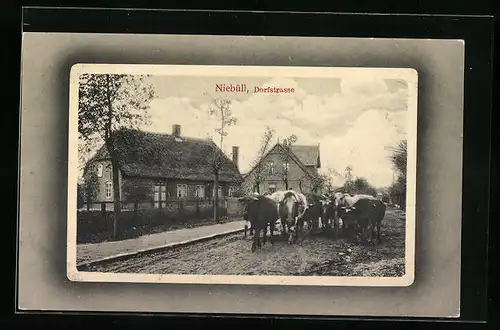 AK Niebüll, Schlammige Dorfstrasse mit Kuhherde und strohgedecktem Haus