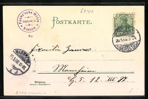 Lithographie Weinheim, Gasthaus Fuchs`sche Mühle, Burg Windeck bei Mondschein, Hildebrandt`sche Kunstmühle