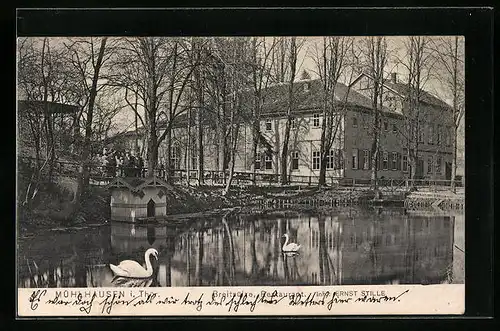AK Mühlhausen i. Thür., Restaurant Breitsülze mit Schwanenteich