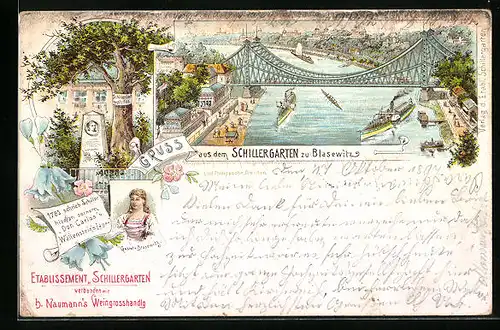 Lithographie Dresden-Blasewitz, Totalansicht mit Schillergarten