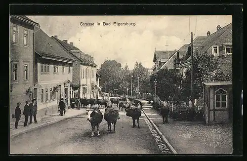 AK Elgersburg, Strassenpartie mit Rindern