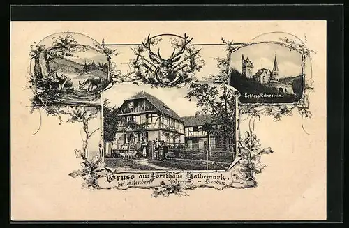 AK Allendorf, Forsthaus Halbemark mit Schloss Rothestein