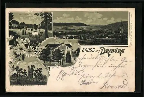 Lithographie Bad Driburg, Kasier Wilhelm-Bad, Ruine der Driburg, Ortspartie