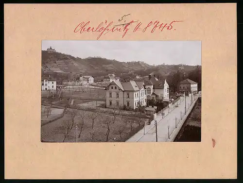Fotografie Brück & Sohn Meissen, Ansicht Oberlössnitz, Bennostrasse mit Villen Carl Fuchs, Haus Leonhardt, Meinhold