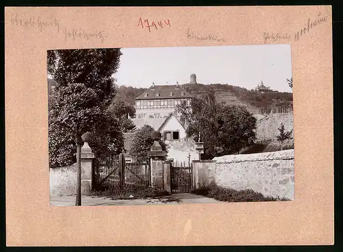 Fotografie Brück & Sohn Meissen, Ansicht Oberlössnitz, Schloss Hoflössnitz und Blick zum Bismarckturm und Spitzhaus