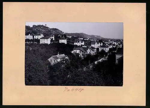 Fotografie Brück & Sohn Meissen, Ansicht Niederlössnitz, Blick auf die Villen an den Lössnitzhängen