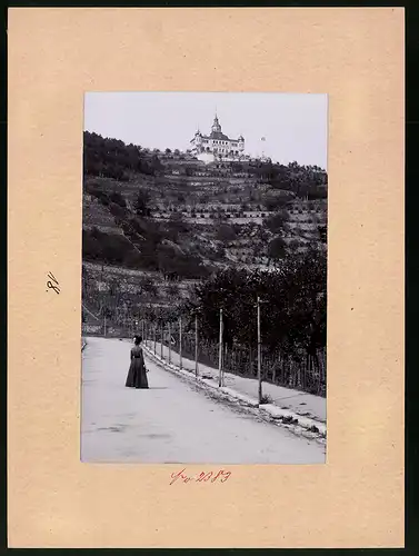 Fotografie Brück & Sohn Meissen, Ansicht Oberlössnitz, Blick vom Tal zum Spitzhaus