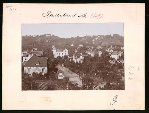 Fotografie Brück & Sohn Meissen, Ansicht Oberlössnitz, Wasastrasse mit Landhaus Paul Michael und Villen