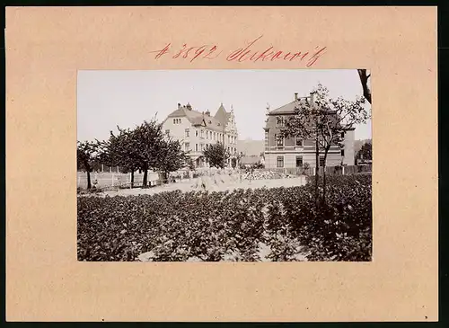 Fotografie Brück & Sohn Meissen, Ansicht Serkowitz, Wasastrasse mit Rosegger Schule, Haus Franz Schuster