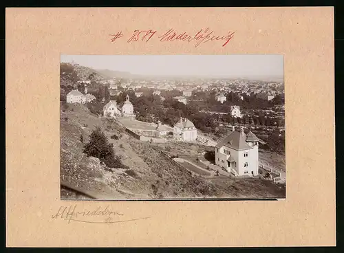 Fotografie Brück & Sohn Meissen, Ansicht Niederlössnitz, Altfriedstein mit Blick auf die Villen