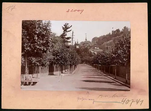 Fotografie Brück & Sohn Meissen, Ansicht Radebeul-Lössnitz, Strassenpartie mit Blick auf das Schloss Lössnitz