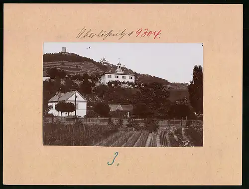 Fotografie Brück & Sohn Meissen, Ansicht Hoflössnitz, Beete der Landschaftsgärtner Gustav Pietzsch mit Holzhof