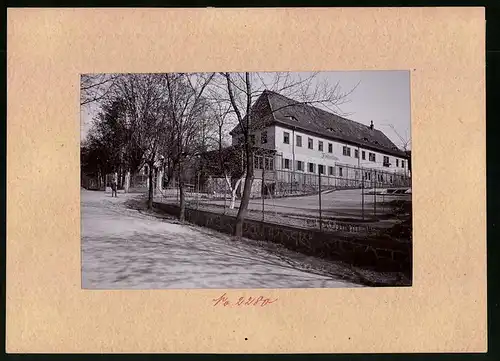Fotografie Brück & Sohn Meissen, Ansicht Oberlössnitz, Strassenpartie am Fiedlerhaus