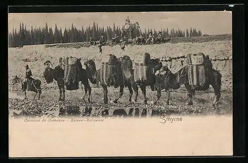 AK Smyrne, Kamel-Karawane am Wasser