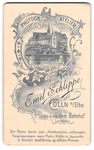 Fotografie Emil Schlippe, Cölln a. Elbe, Stadtpartie mit Fluss und Brücke