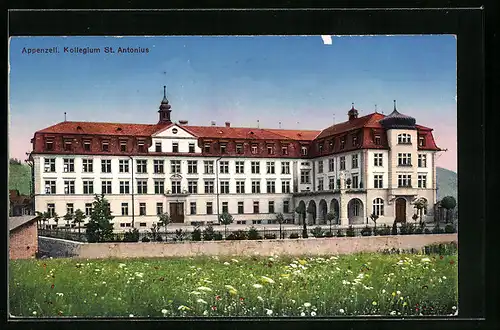 AK Appenzell, Kollegium St. Antonius mit blühender Wiese