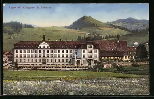 AK Appenzell, Kollegium St. Antonius mit blühender Wiese