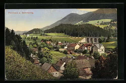 AK Steinhaus a. Semmering, Teilansicht