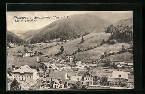 AK Steinhaus a. Semmering, Ortspartie mit Bergen