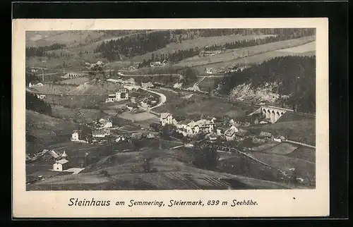 AK Steinhaus am Semmering, Gesamtansicht mit Viadukten aus der Vogelschau