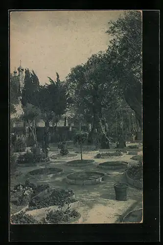 AK Jerusalem, Gethsemany