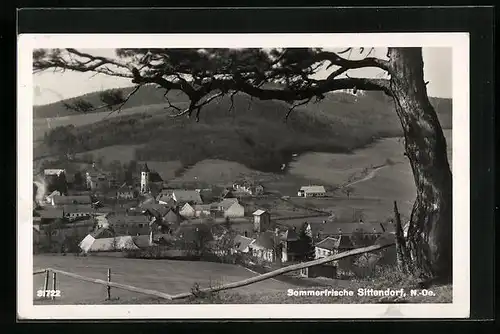 AK Sittendorf, Blick auf die Sommerfrische