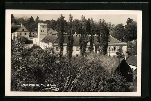 AK Gross Pertholz, Schloss aus der Vogelschau