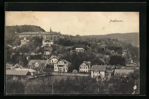 AK Pressbaum, Blick auf den Ort