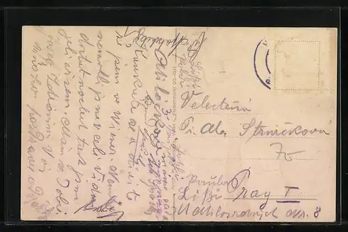 AK Wr. Neustadt, Panorama mit Doppelturmkirche