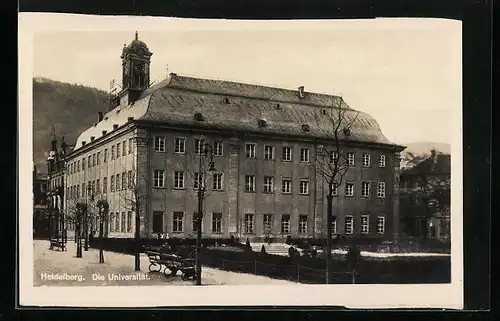 AK Heidelberg, Die Universität