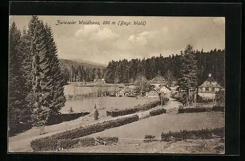 AK Zwiesel /Bayr. Wald, Hotel Zwieseler Waldhaus