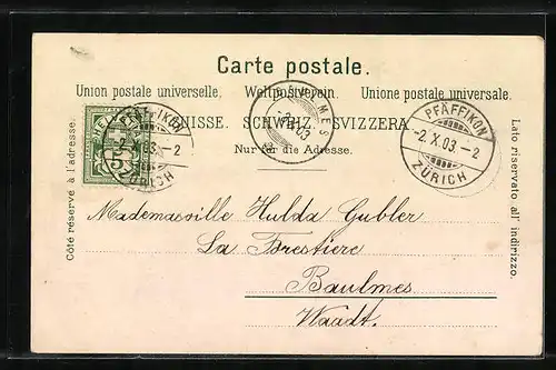 AK Pfäffikon, Krankenaysl mit Grünanlage