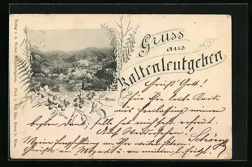 AK Kaltenleutgeben, Teilansicht