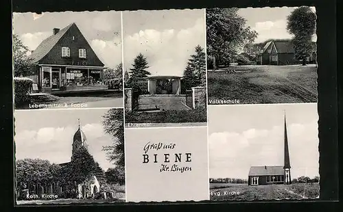 AK Biene / Lingen, Lebensmittel B. Foppe, Volksschule, Kirchen, Ehrenmal