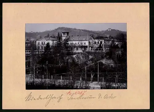 Fotografie Brück & Sohn Meissen, Ansicht Niederlössnitz, Blick auf das Sanatorium Dr. Oeder