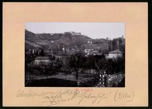 Fotografie Brück & Sohn Meissen, Ansicht Oberlössnitz, Blick über die Villen zur Wilhelmshöhe und Haus in der Sonne
