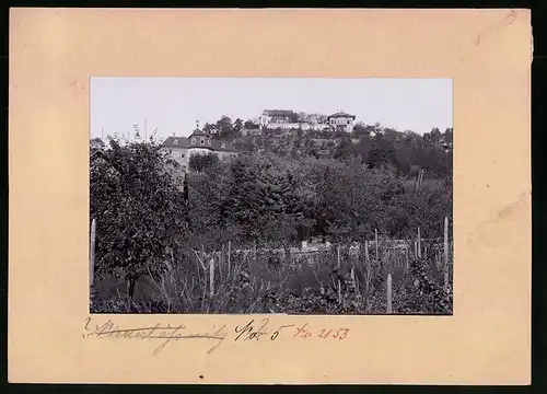 Fotografie Brück & Sohn Meissen, Ansicht Oberlössnitz-Wahnsdorf, Blick auf das Restaurant Wilhelmshöhe, Haus in der Sonne