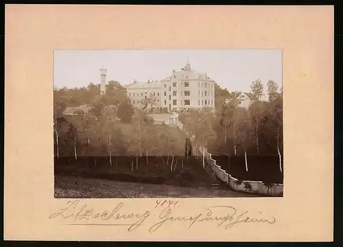 Fotografie Brück & Sohn Meissen, Ansicht Zitzschewig, Birkenhain mit dem Männergenesungsheim Alt Wettinshöhe, Wasserturm