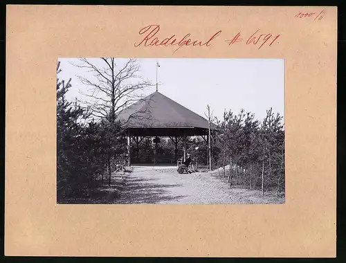 Fotografie Brück & Sohn Meissen, Ansicht Radebeul, Partie an der Schutzhütte im Waldpark