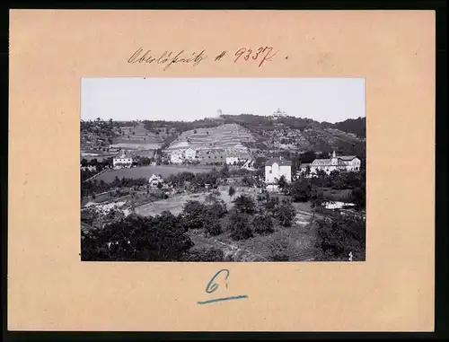 Fotografie Brück & Sohn Meissen, Ansicht Oberlössnitz, Blick auf den Ort mit den Weinbergen