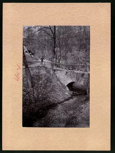 Fotografie Brück & Sohn Meissen, Ansicht Oberlössnitz, Partie im Fiedlergrunde an der alten Steinbrücke