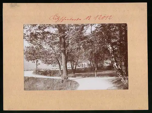Fotografie Brück & Sohn Meissen, Ansicht Radebeul, Partie im Lössnitzgrund, Herren beim Spaziergang