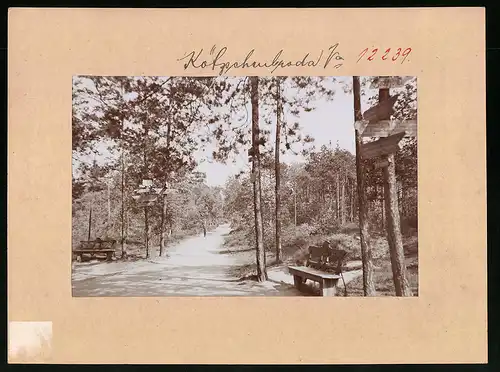 Fotografie Brück & Sohn Meissen, Ansicht Radebeul, Partie im Lössnitzgrund mit Weganszeigern