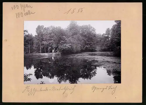 Fotografie Brück & Sohn Meissen, Ansicht Kötzschenbroda, Blick auf Schwarzes Teich mit Seerosen